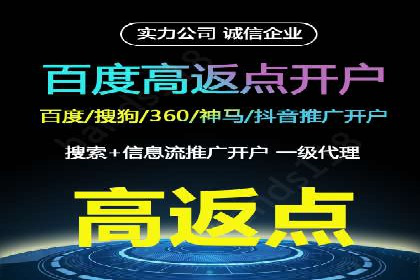 百度平台推广策略及成功案例解析