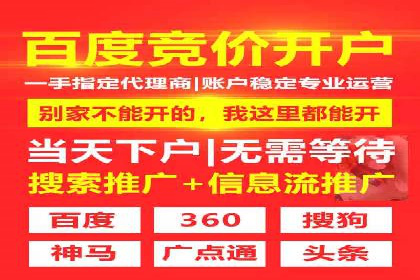 SEM推广公司成功案例：助力企业实现品牌多元化发展